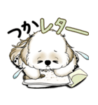 New シーズー犬 2025 「ダジャレ」（個別スタンプ：33）