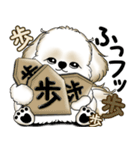 New シーズー犬 2025 「ダジャレ」（個別スタンプ：35）