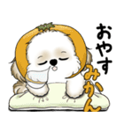 New シーズー犬 2025 「ダジャレ」（個別スタンプ：37）