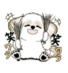 New シーズー犬 2025 「ダジャレ」（個別スタンプ：39）