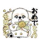 New シーズー犬 2025 「ダジャレ」（個別スタンプ：40）