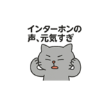 宗教勧誘に強すぎたねこ（個別スタンプ：13）