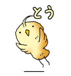 ぴよぴよひよこ その1（個別スタンプ：40）