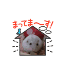 ぴーちゃんスタンプ 2（個別スタンプ：6）
