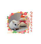 ぴーちゃんスタンプ 2（個別スタンプ：8）