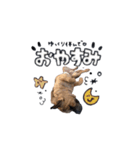 ロジャー＆パブロ（個別スタンプ：4）