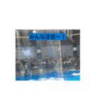 あにまるるの1日（個別スタンプ：1）
