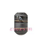 あにまるるの1日（個別スタンプ：8）
