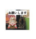 ミィちゃん☆（個別スタンプ：1）
