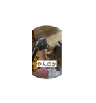 ミィちゃん☆（個別スタンプ：5）