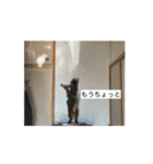 ミィちゃん☆（個別スタンプ：11）