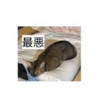 ミィちゃん☆（個別スタンプ：14）