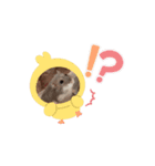 我が家のハムハムのんちゃん（個別スタンプ：3）