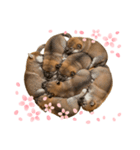 【熟睡犬】（個別スタンプ：3）