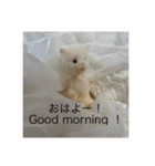 HONEY HOT TEA MOTHER’s STAMP（個別スタンプ：2）