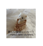 HONEY HOT TEA MOTHER’s STAMP（個別スタンプ：4）