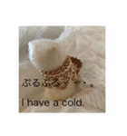 HONEY HOT TEA MOTHER’s STAMP（個別スタンプ：5）