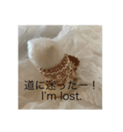 HONEY HOT TEA MOTHER’s STAMP（個別スタンプ：6）