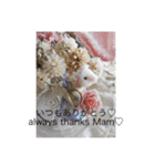 HONEY HOT TEA MOTHER’s STAMP（個別スタンプ：30）