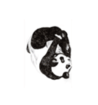 HONEY HOT TEA MOTHER’s STAMP（個別スタンプ：39）