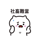 ぼはん猫 5（個別スタンプ：11）