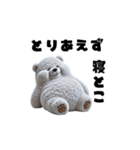リアル脱力系 白クマファミリー（個別スタンプ：12）