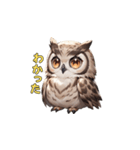 フクロウの夜の守護者（個別スタンプ：17）