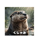 カワウソのゆるっと時間（個別スタンプ：10）