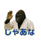 最強柔道アニマルズ！（個別スタンプ：15）