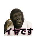 最強柔道アニマルズ！（個別スタンプ：19）