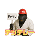 最強柔道アニマルズ！（個別スタンプ：29）