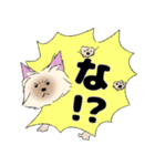 ヨークシャーテリアのスタンプ。（個別スタンプ：1）