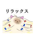 ヨークシャーテリアのスタンプ。（個別スタンプ：2）