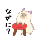 ヨークシャーテリアのスタンプ。（個別スタンプ：5）