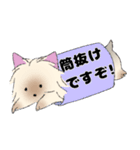 ヨークシャーテリアのスタンプ。（個別スタンプ：8）