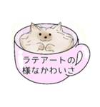 ヨークシャーテリアのスタンプ。（個別スタンプ：9）