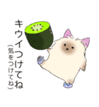 ヨークシャーテリアのスタンプ。（個別スタンプ：10）