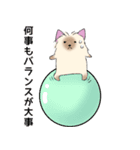 ヨークシャーテリアのスタンプ。（個別スタンプ：13）