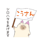 ヨークシャーテリアのスタンプ。（個別スタンプ：15）