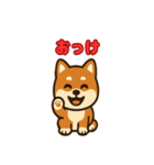 かわいい豆柴の毎日使えるスタンプ（個別スタンプ：3）