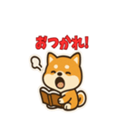 かわいい豆柴の毎日使えるスタンプ（個別スタンプ：4）