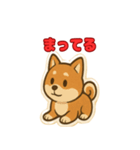 かわいい豆柴の毎日使えるスタンプ（個別スタンプ：6）