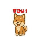 かわいい豆柴の毎日使えるスタンプ（個別スタンプ：8）