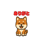 かわいい豆柴の毎日使えるスタンプ（個別スタンプ：9）
