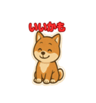 かわいい豆柴の毎日使えるスタンプ（個別スタンプ：14）