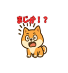 かわいい豆柴の毎日使えるスタンプ（個別スタンプ：18）