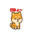 かわいい豆柴の毎日使えるスタンプ（個別スタンプ：19）