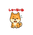 かわいい豆柴の毎日使えるスタンプ（個別スタンプ：23）