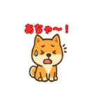 かわいい豆柴の毎日使えるスタンプ（個別スタンプ：24）