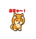 かわいい豆柴の毎日使えるスタンプ（個別スタンプ：25）